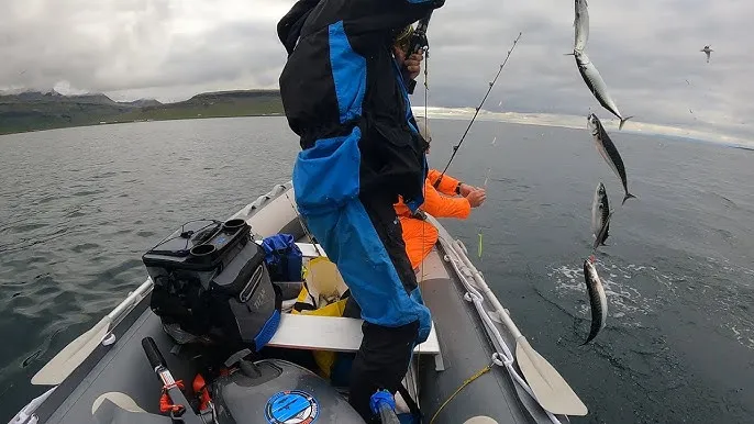 Wędkarstwo morskie na makrele