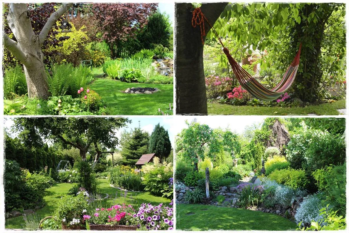 Mały ogród inspiracje drzewa