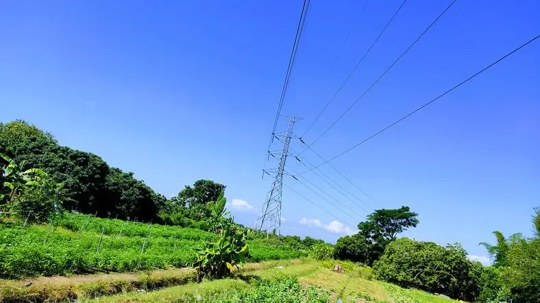 Zdjęcie Ile za słup energetyczny na działce? Sprawdź, jak uzyskać odszkodowanie