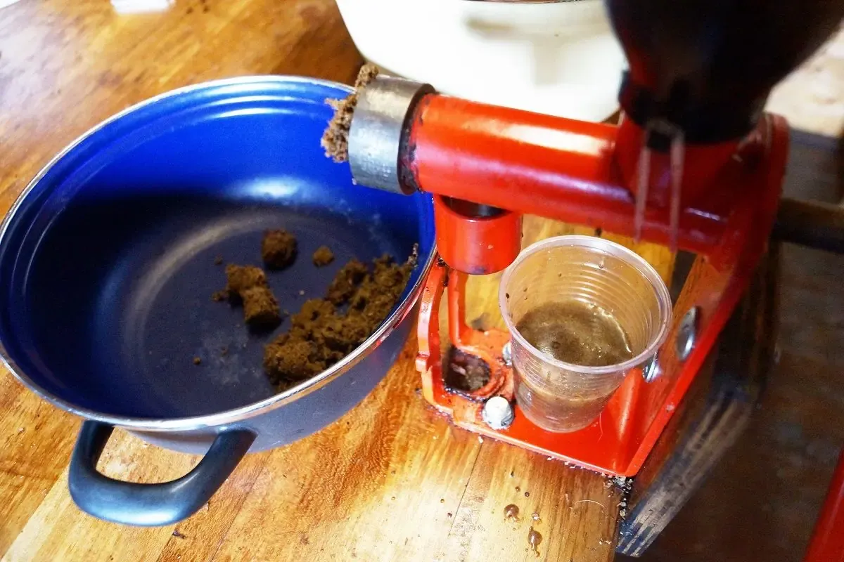 domowa produkcja oliwy z oliwek sprzęt