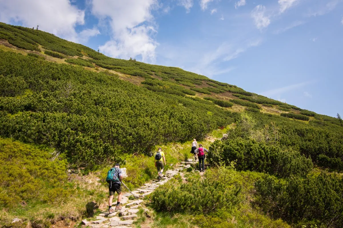 Tatrzański Park Narodowy konserwacja szlaków, remont szlaku Tatry
