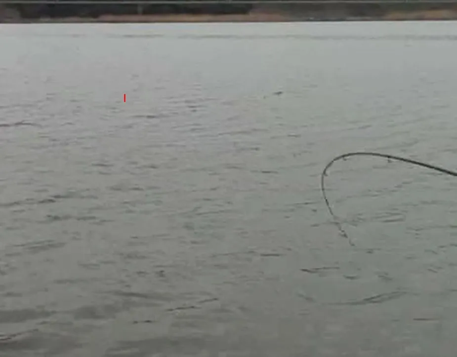 Żyłka tonąca vs pływająca w wędkarstwie spławikowym