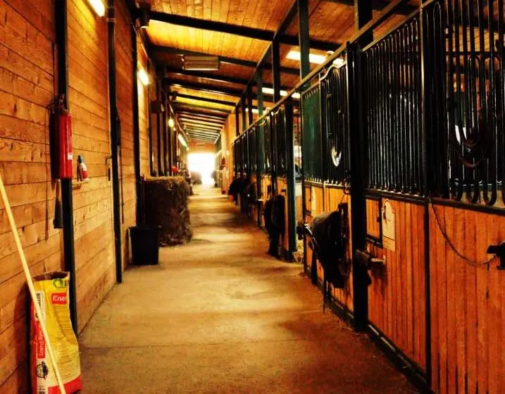 Pensjonat dla koni, boks stajenny