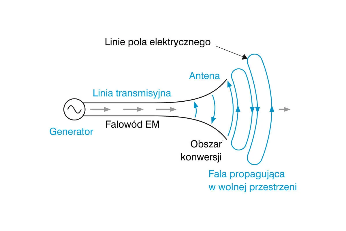 Antena kierunkowa vs antena dookólna schemat