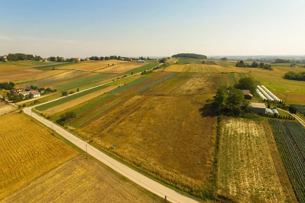 Rozległe pola uprawne z domami w tle. Zastanawiasz się, czy umowę dzierżawy trzeba zgłosić do gminy?