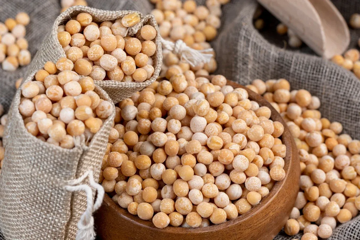 stary groch twarda woda s&oacute;l