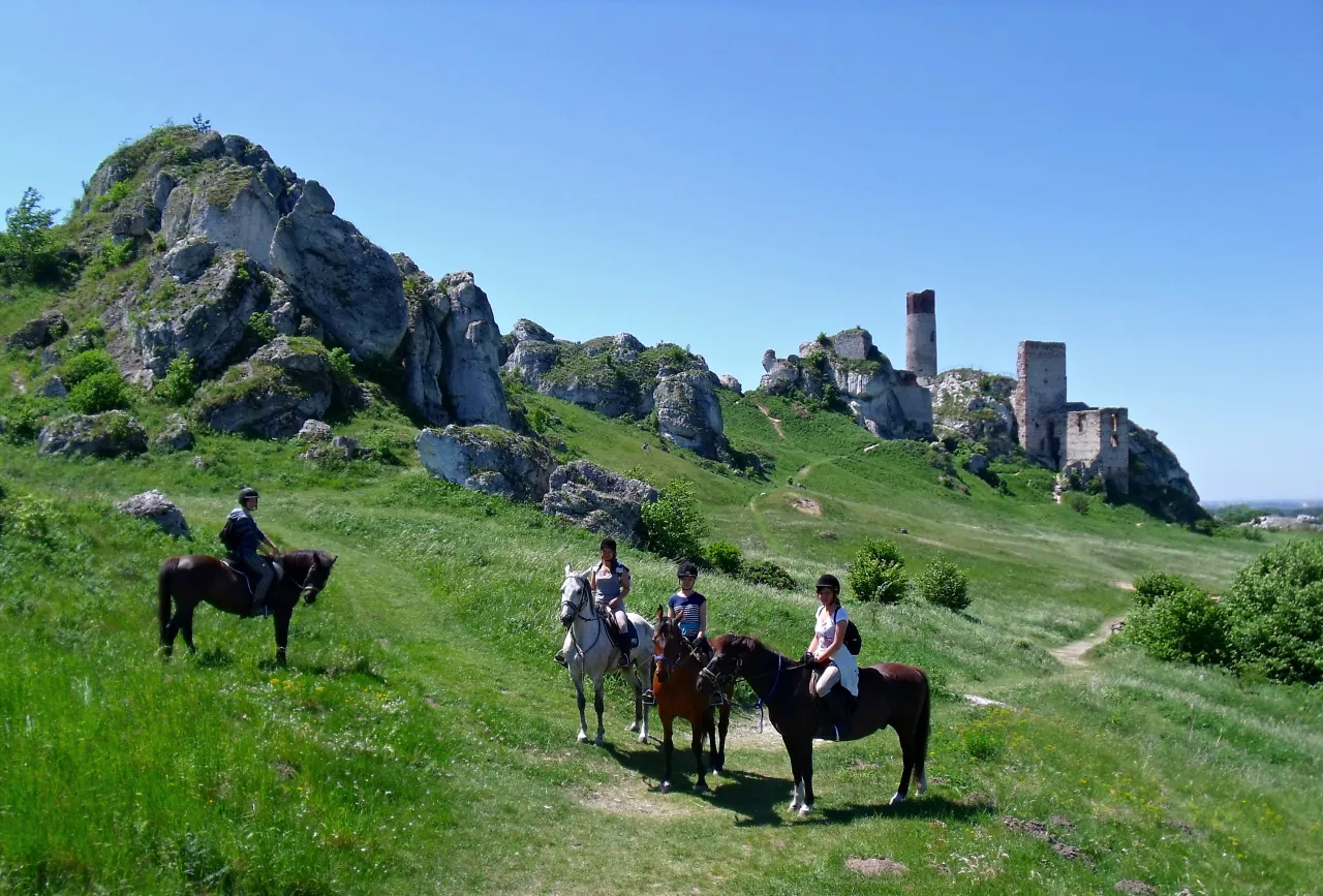 Stajnia Biały Borek Jura Krakowsko-Częstochowska
