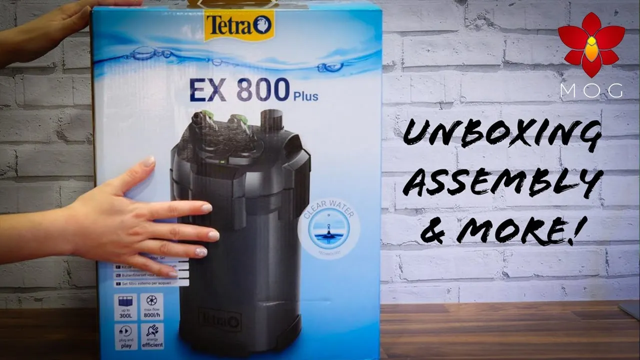 Tetra EX 800 Plus filter unboxing