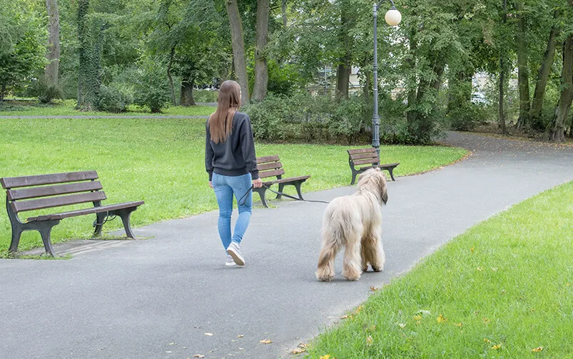 senior z psem na spacerze