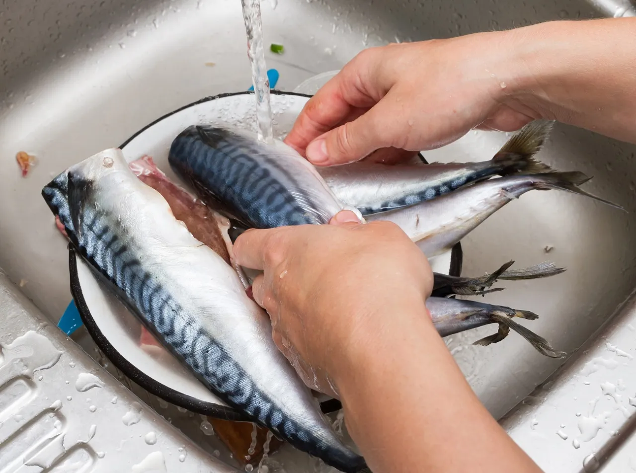 Usuwanie ości z fileta ryby pęsetą