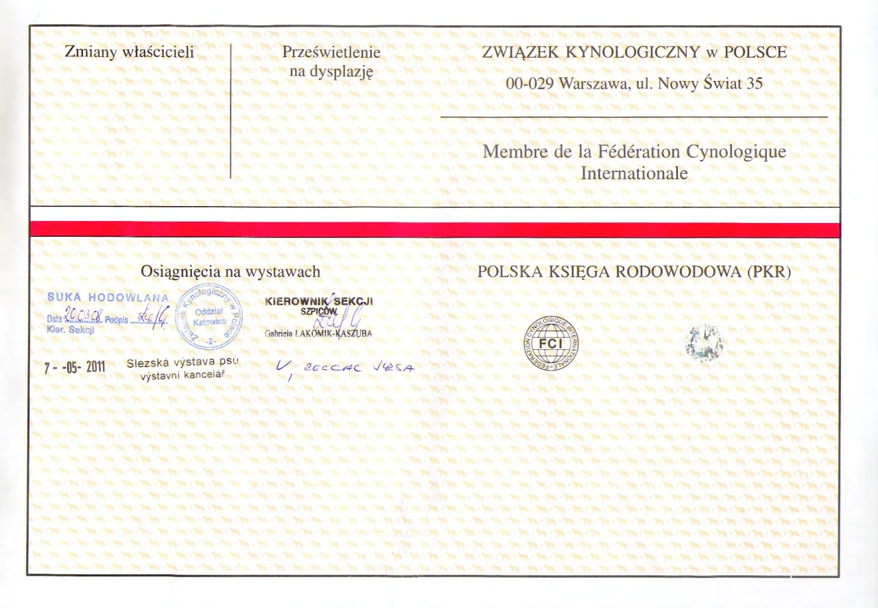 Rodowód eksportowy psa FCI