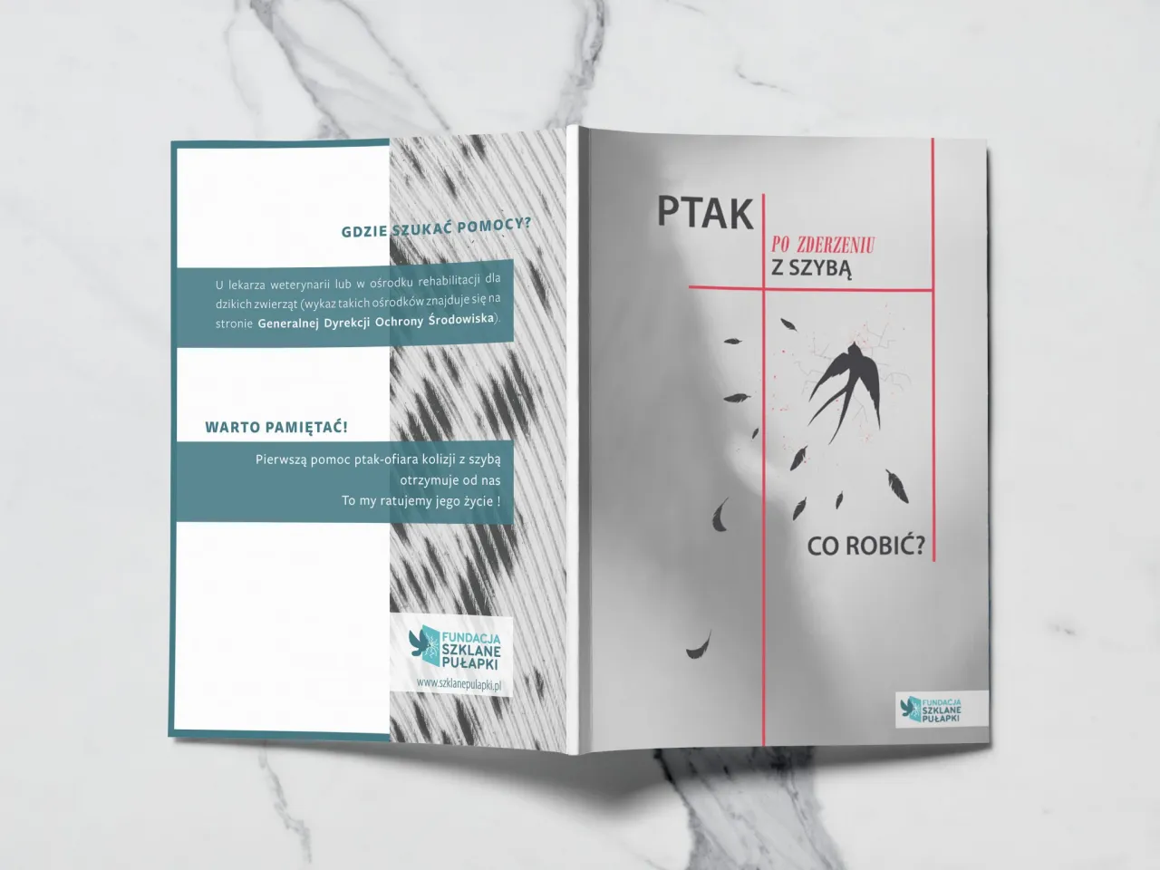 ptak owinięty w ręcznik pierwsza pomoc