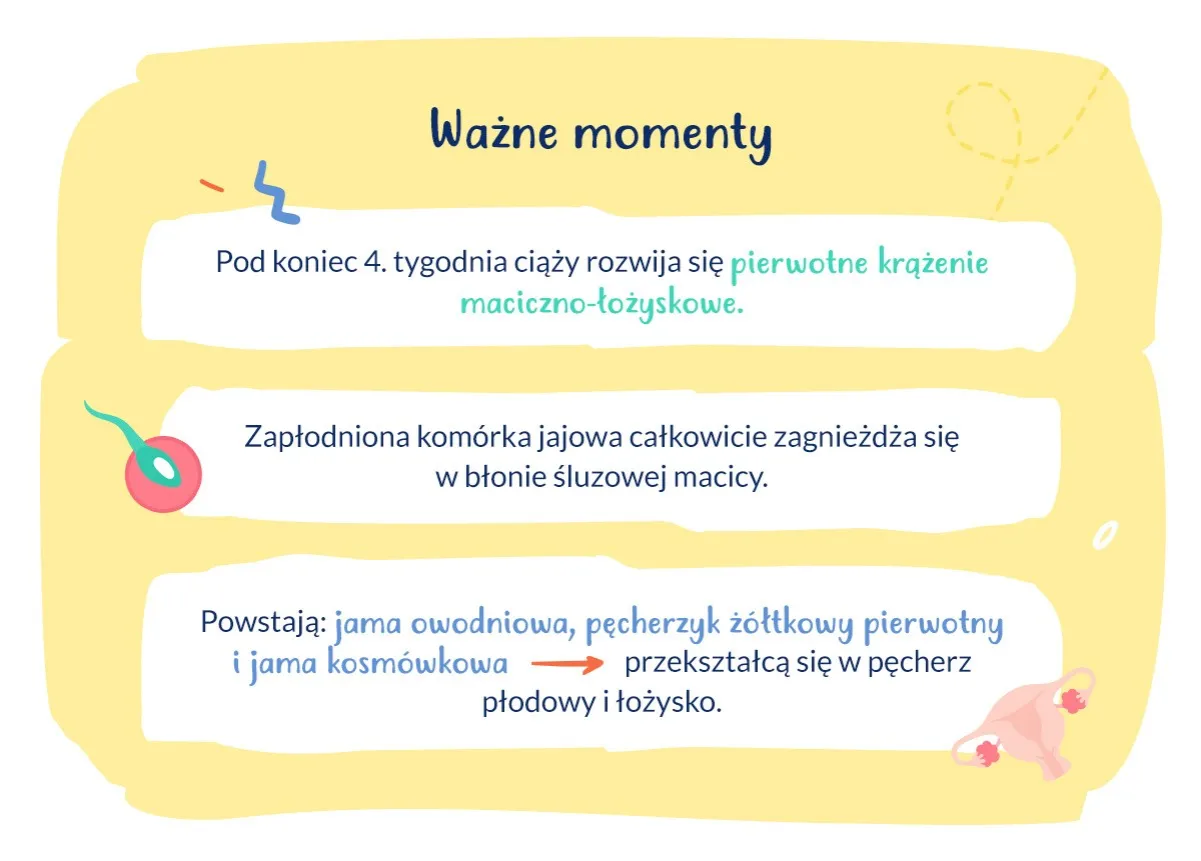 Kiedy wykonać wiarygodny test ciążowy