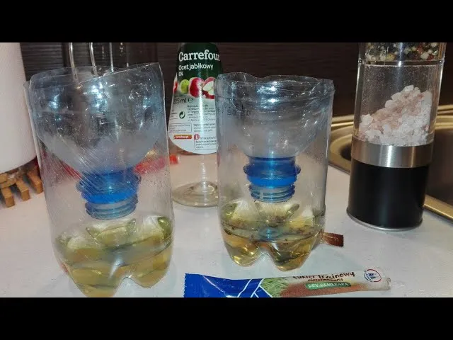 domowe pułapki na muszki owoc&oacute;wki diy