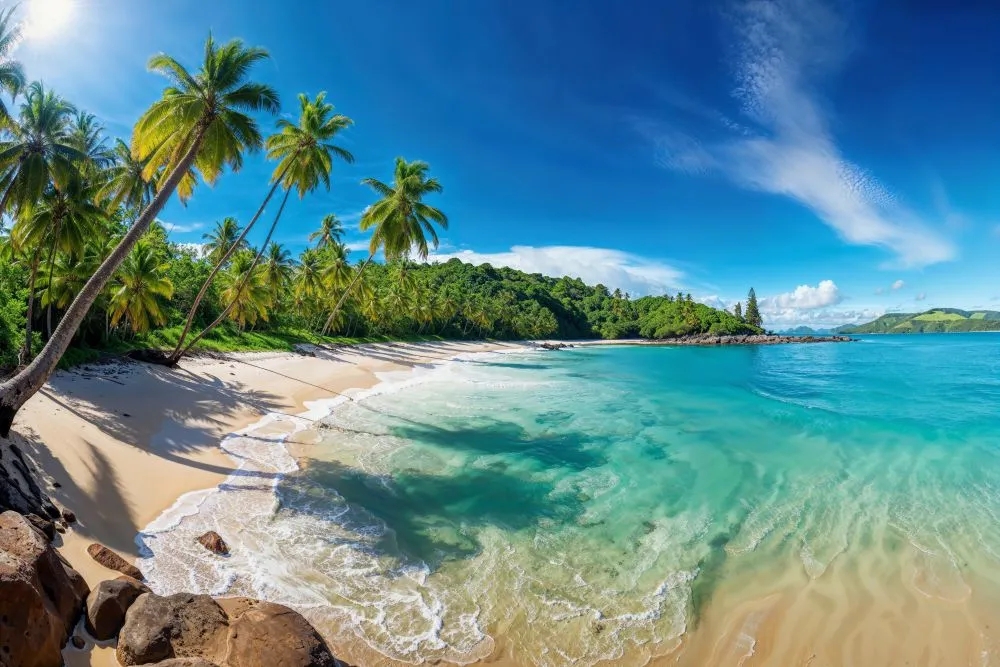 egzotyczna plaża palmy turkusowa woda