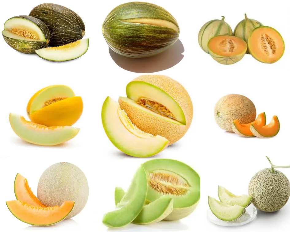 Tipos de mel&oacute;n maduro