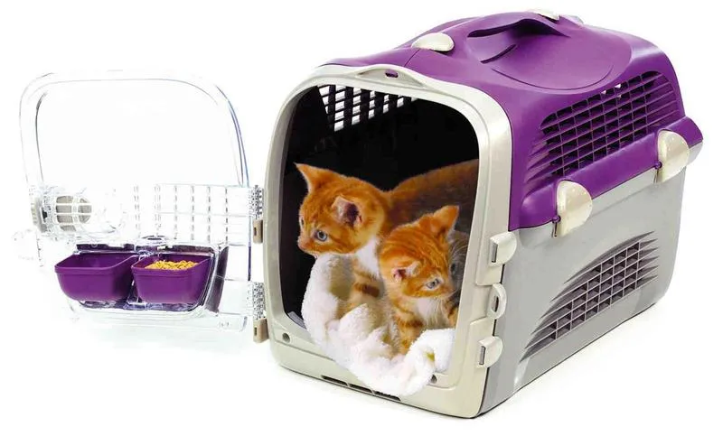 Rodzaje transporterów dla kotów porównanie