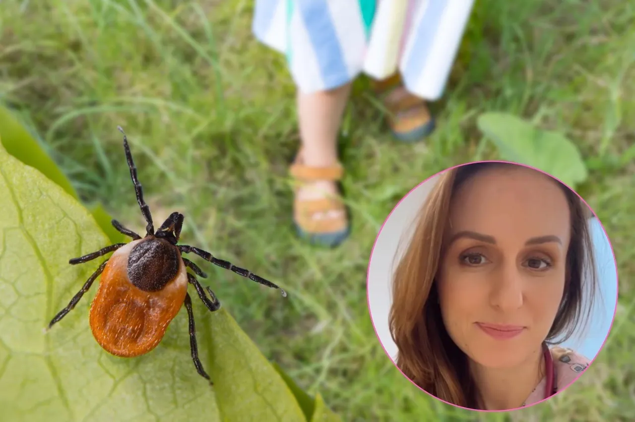 Szczepienie przeciw kleszczowemu zapaleniu m&oacute;zgu