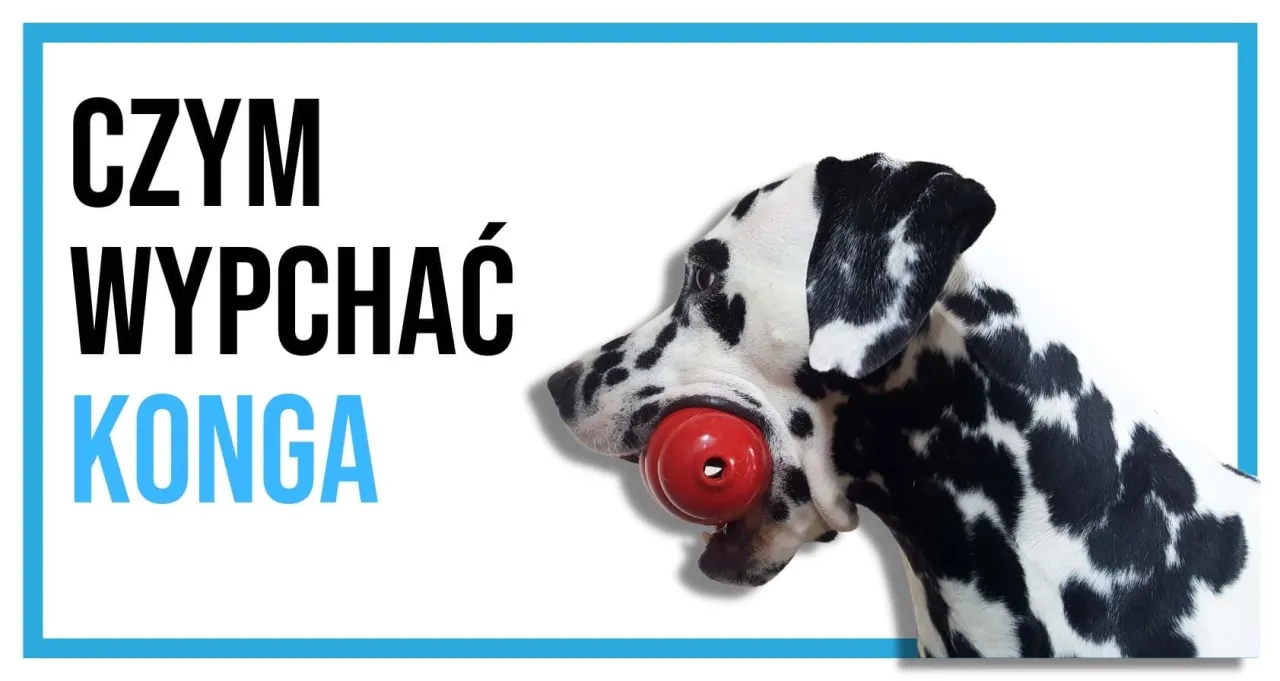 Pomysły na wypełnienie KONG-a dla psa