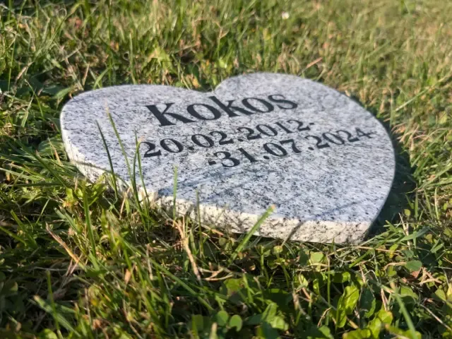 pomnik dla zwierząt domowych