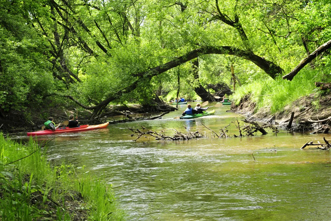 spływ kajakowy Jeziorka rodzina