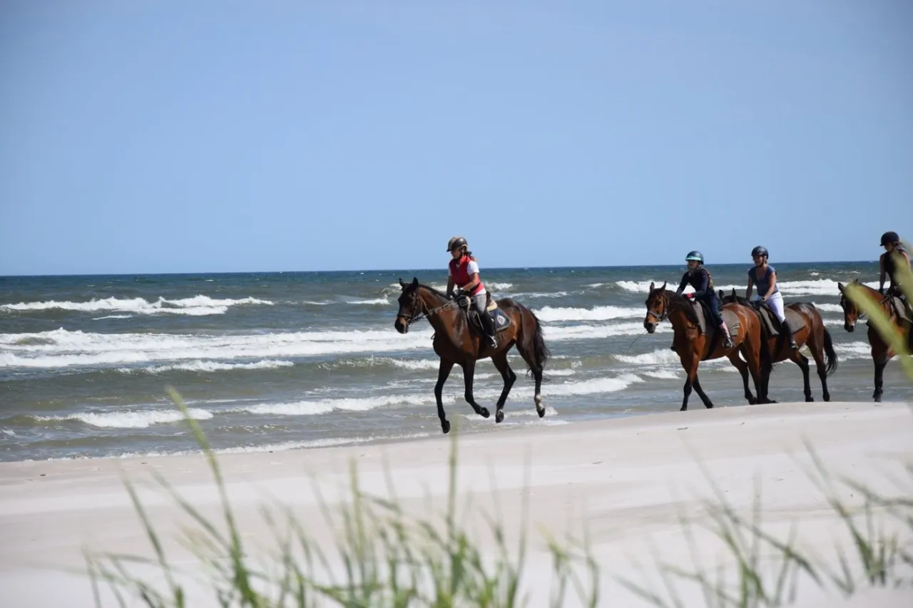 Jazda konna Białogóra dla dzieci i dorosłych