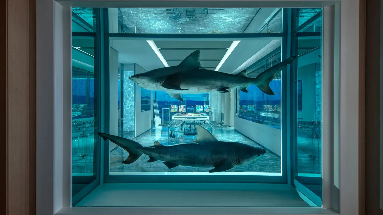 The Empathy Suite Las Vegas Damien Hirst sharks