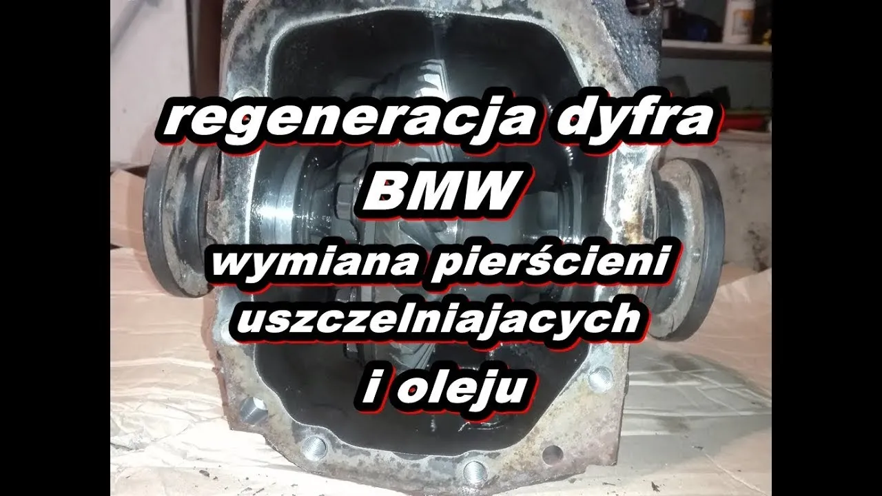 regeneracja dyferencjału BMW E46