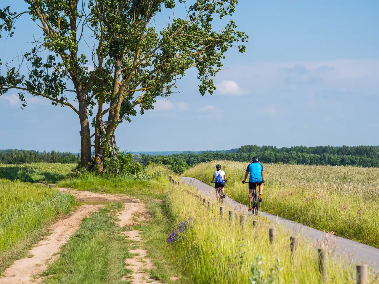Dwie osoby na rowerach przemierzają malownicze trasy rowerowe wokół jeziora, otoczone polami i zielenią.