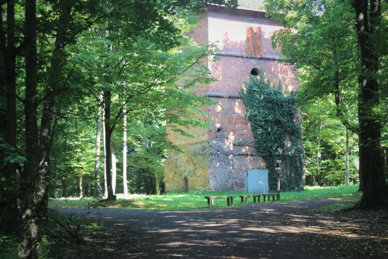 Wieża Gichta w Palowicach