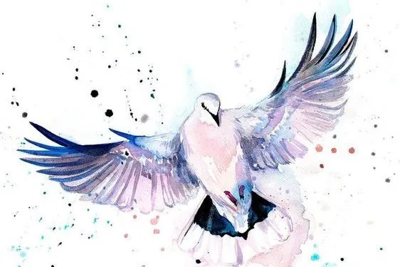 Tatuaż gołąb symbolika