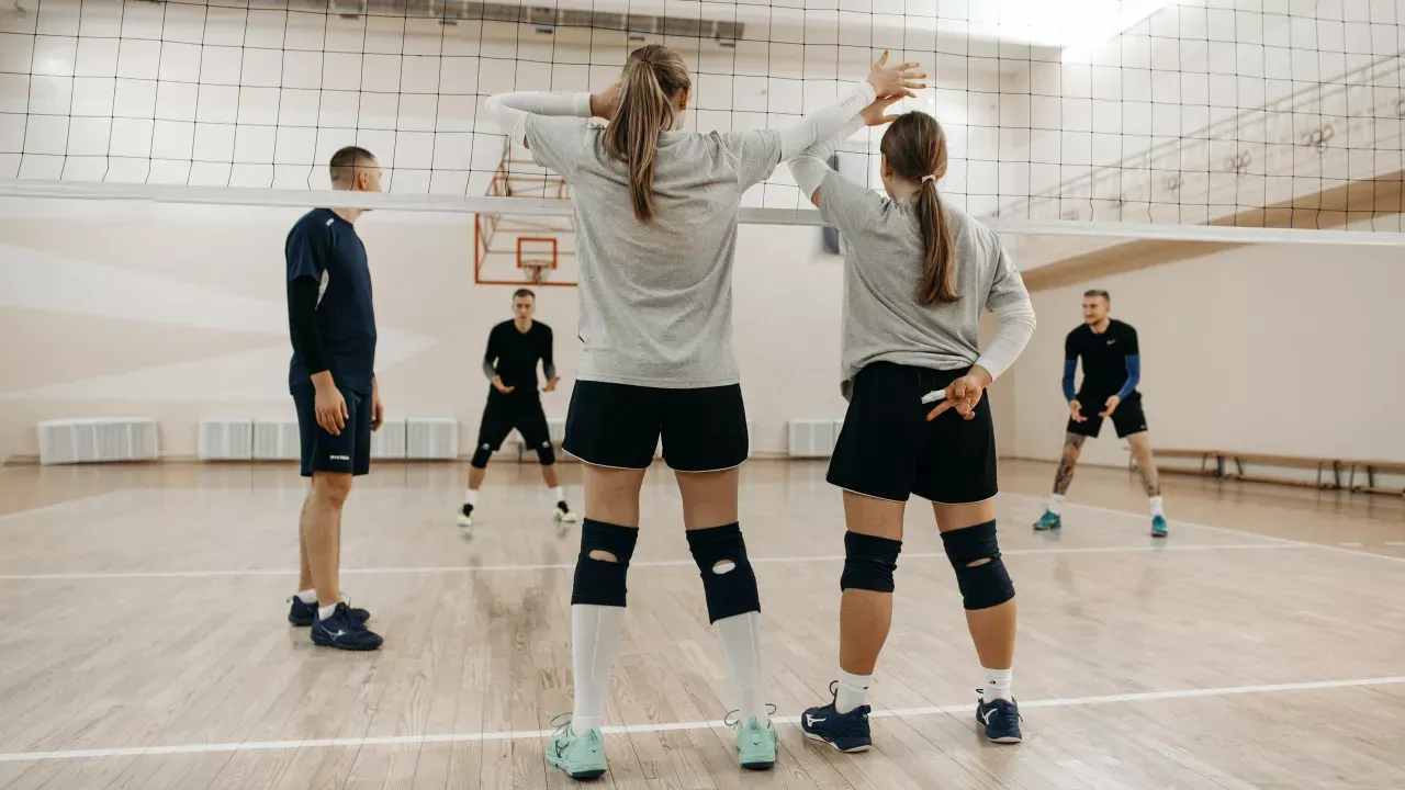 siatka siatkowa wymiary wysokość