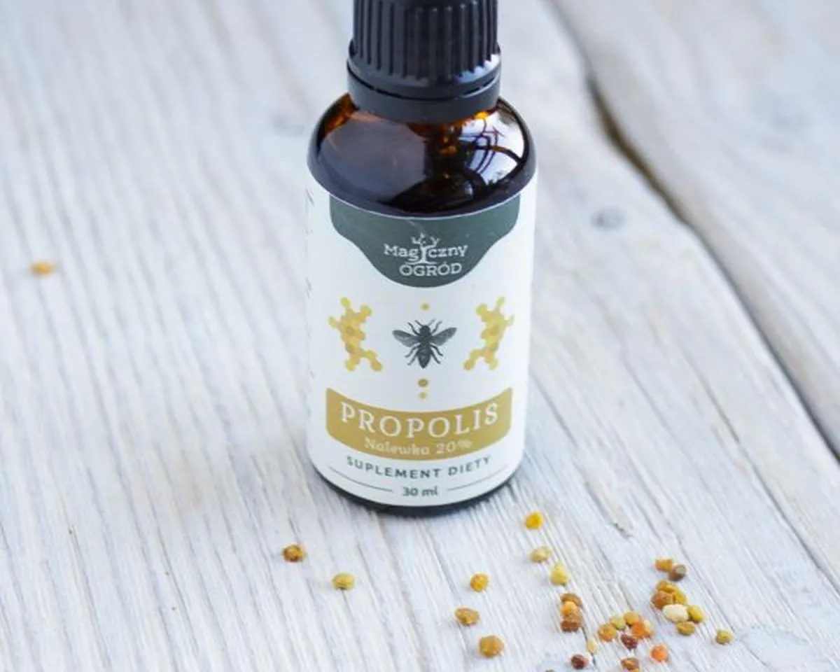 nalewka propolisowa odporność