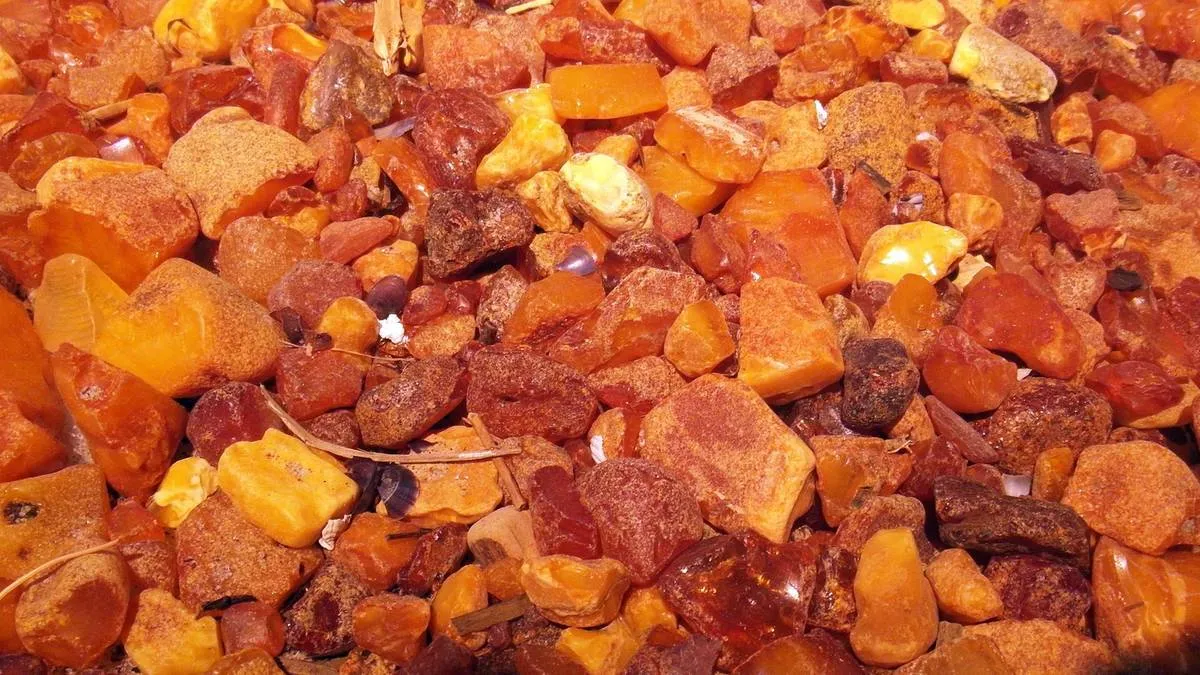 Zdjęcie Gdzie szukać bursztynu nad Bałtykiem? Najlepsze miejsca i porady