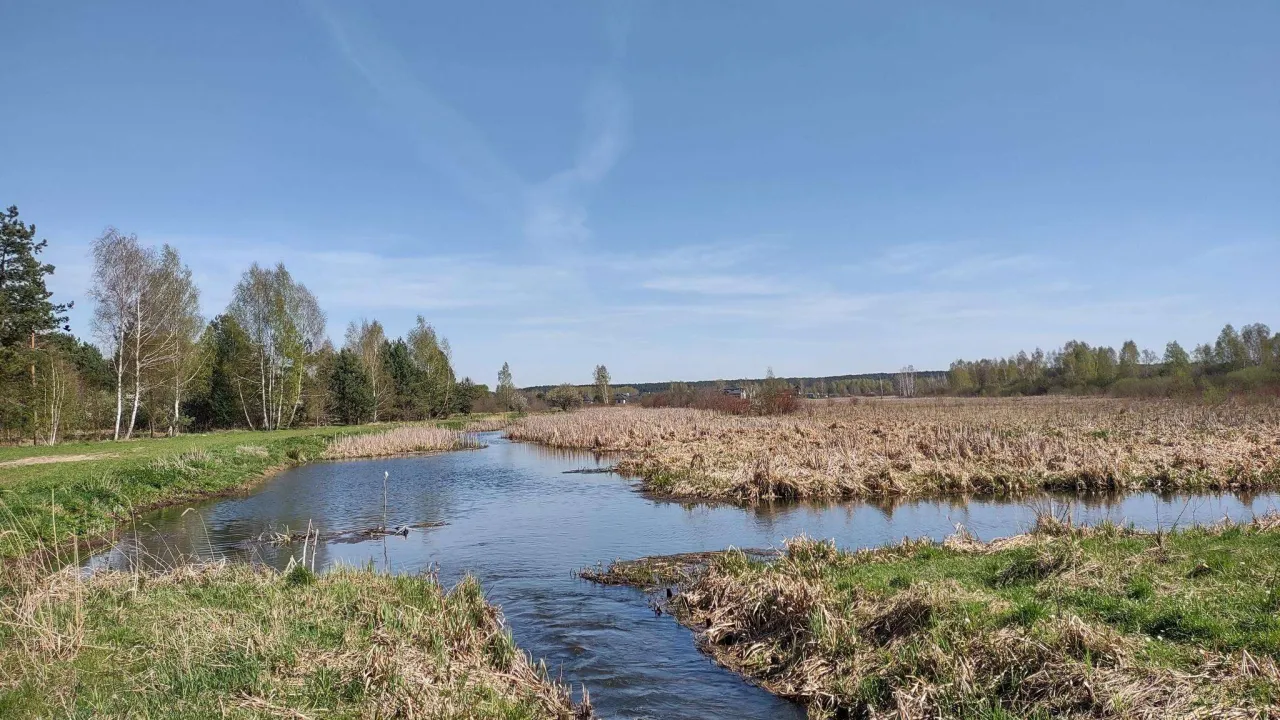 Zdjęcie Wieliszew atrakcje: odkryj nieznane miejsca, które zachwycą każdego