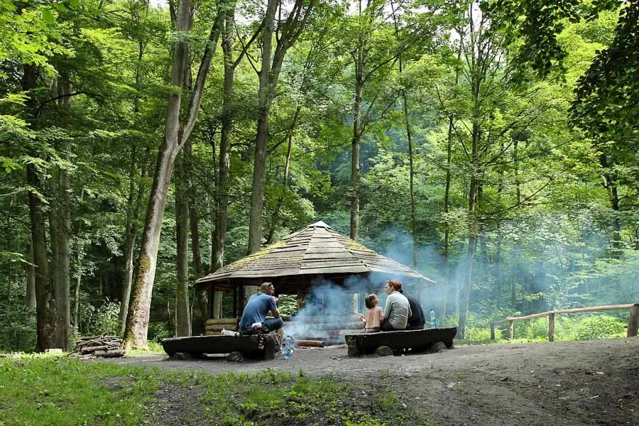 Park Leśny Bażantarnia Elbląg krajobraz
