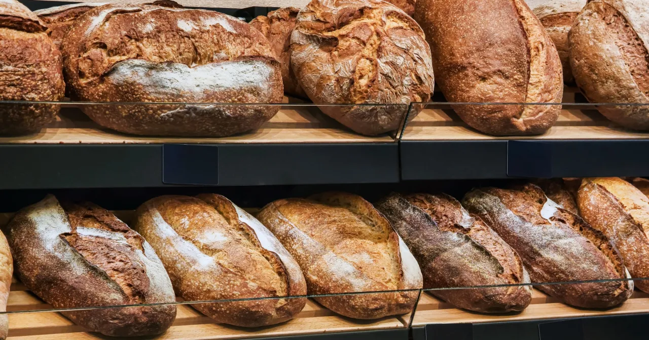 różne rodzaje zdrowego chleba domowego
