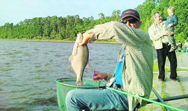Wędkarz nad Zalewem Zemborzyckim
