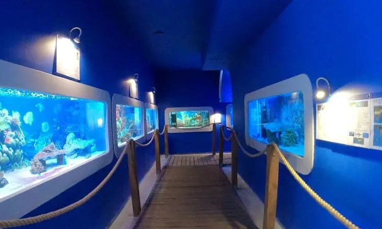 Oceanarium U-Boot Łeba z zewnątrz i w środku