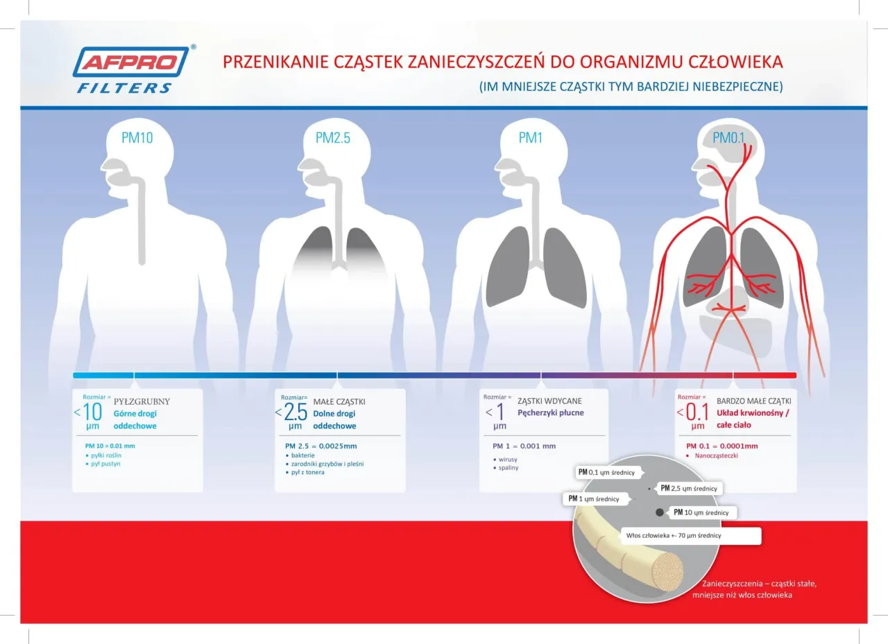Pyły PM10 i PM2.5 pod mikroskopem lub schemat ich wpływu na płuca