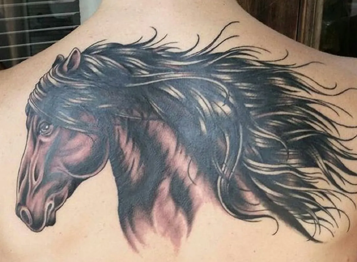 tatuaż koń styl realistyczny akwarela