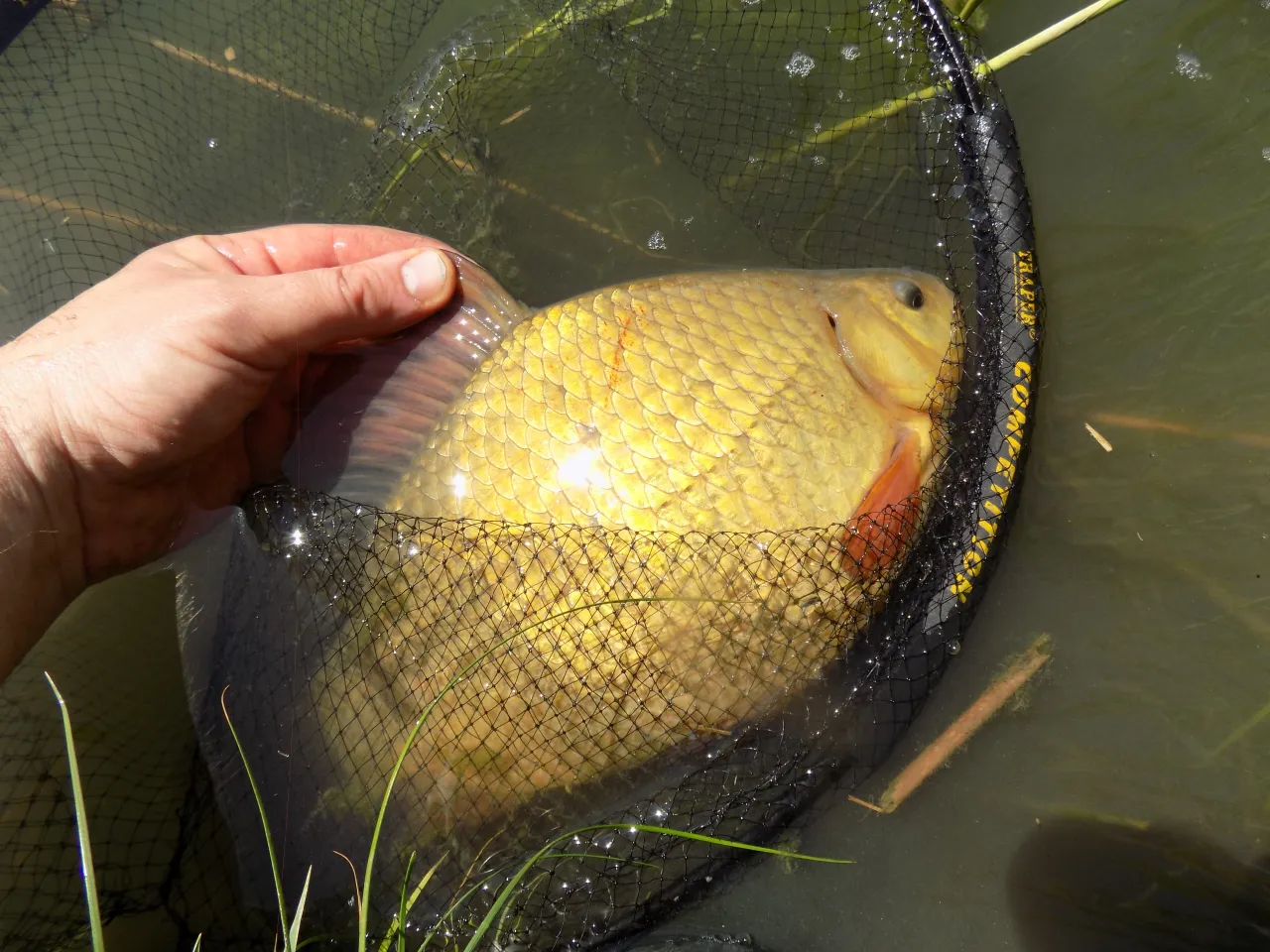 Wędkarz przygotowujący zanętę method feeder, przesiewanie zanęty