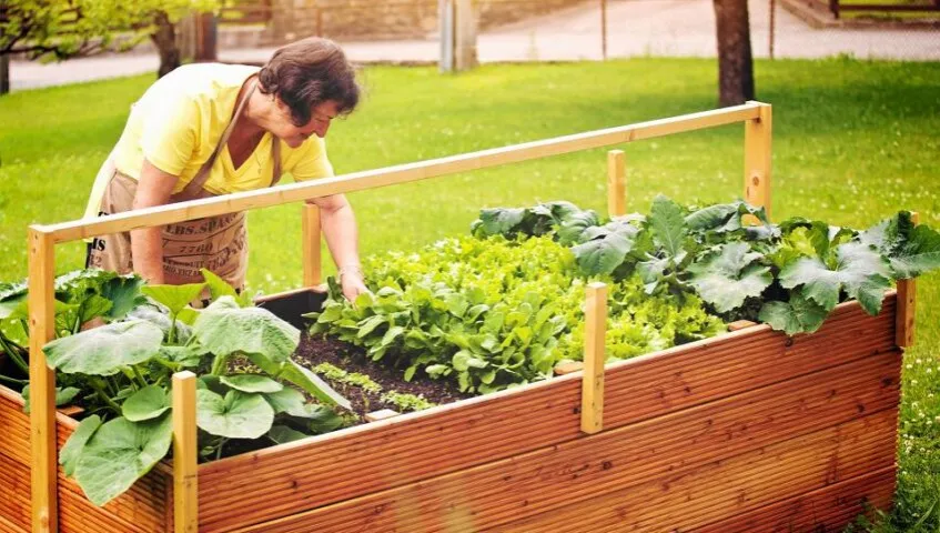 grządki podwyższone warzywnik ROD