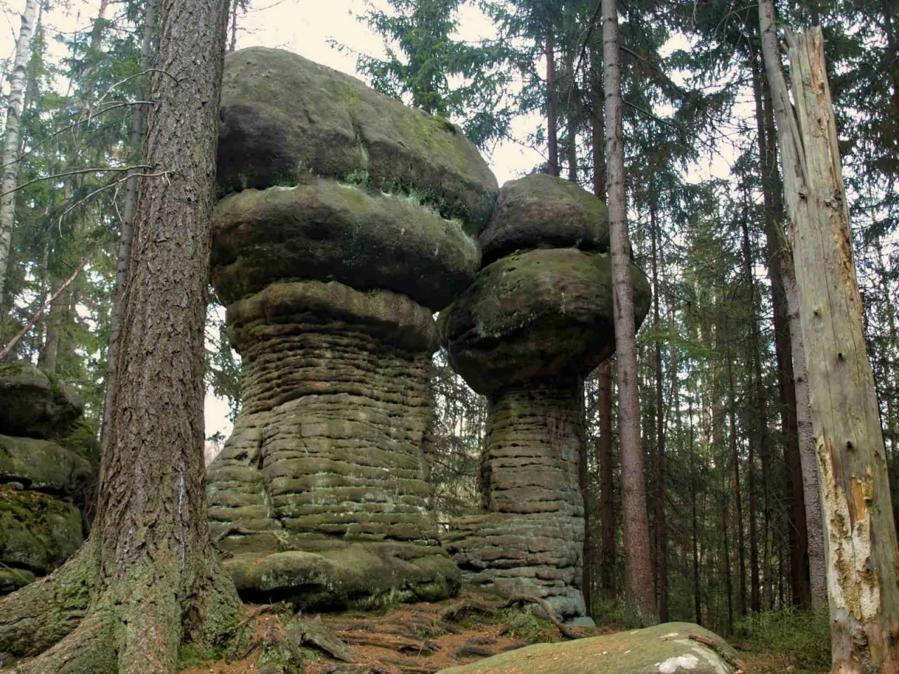 Szczeliniec Wielki formacje skalne