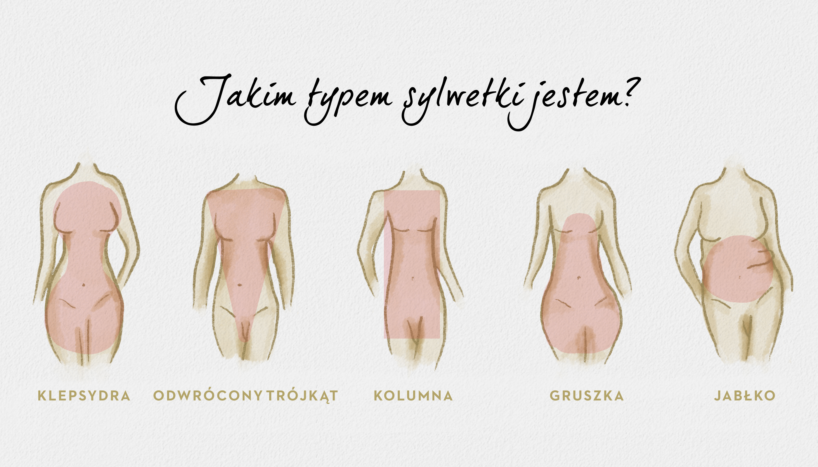 r&oacute;żne typy kobiecych sylwetek grafika