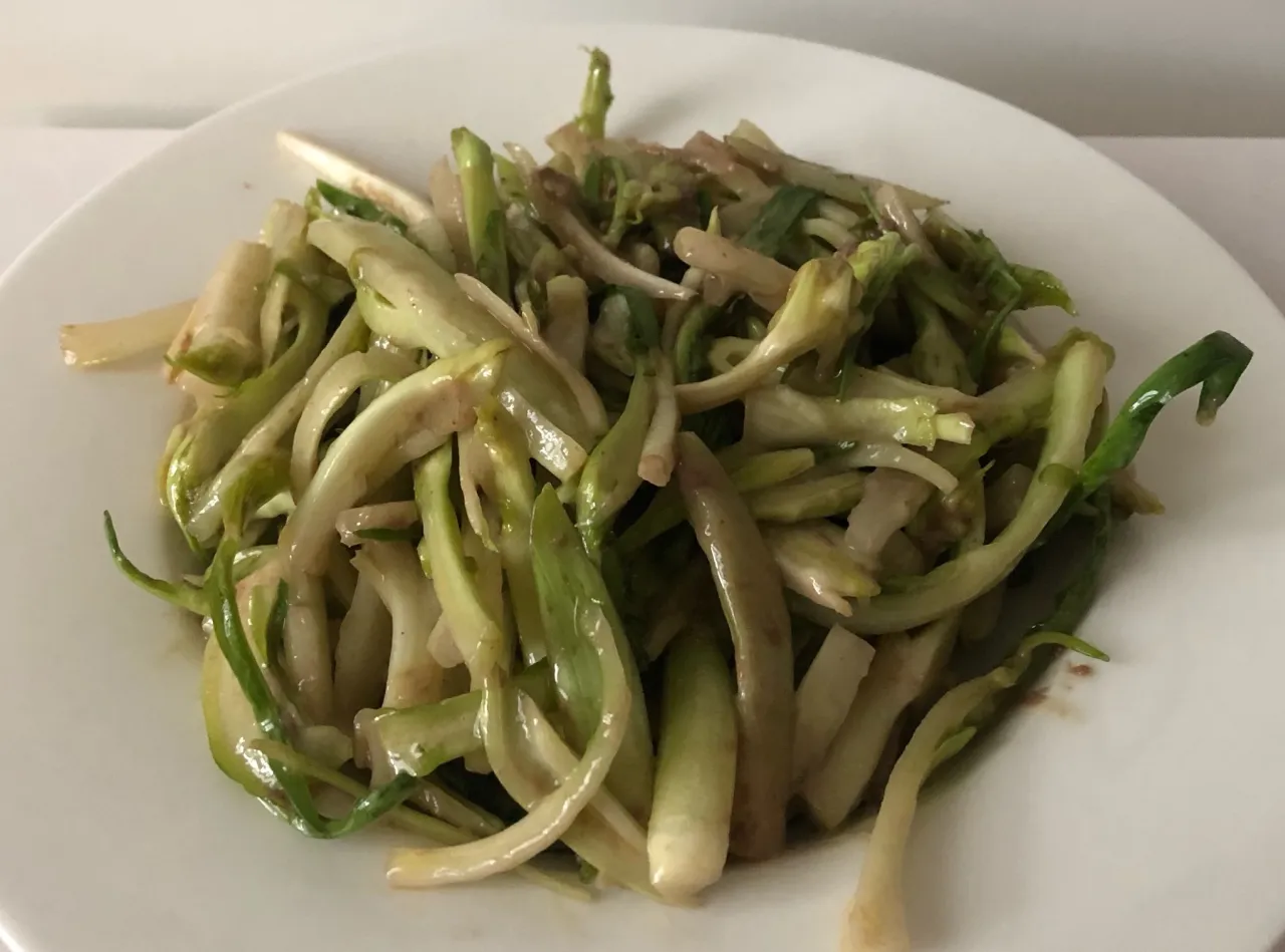 Puntarelle pulite e arricciate in acqua e ghiaccio