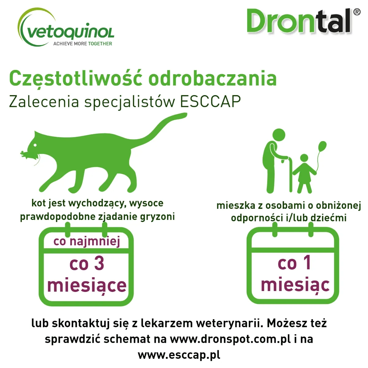 Zdjęcie Ile kosztuje odrobaczanie kota? Poznaj ceny i czynniki wpływające