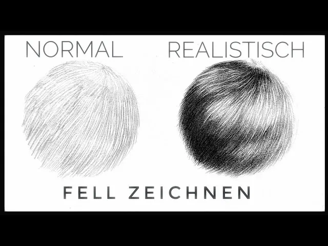 Fell zeichnen einfach, Federn zeichnen einfach, Schuppen zeichnen einfach