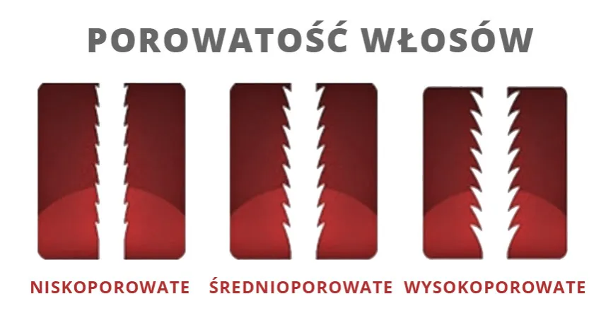 włosy wysokoporowate niskoporowate średnioporowate por&oacute;wnanie