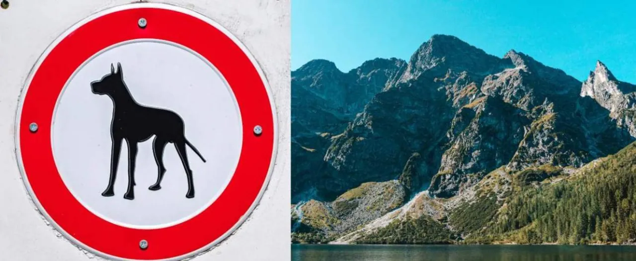 Tatrzański Park Narodowy zakaz ps&oacute;w